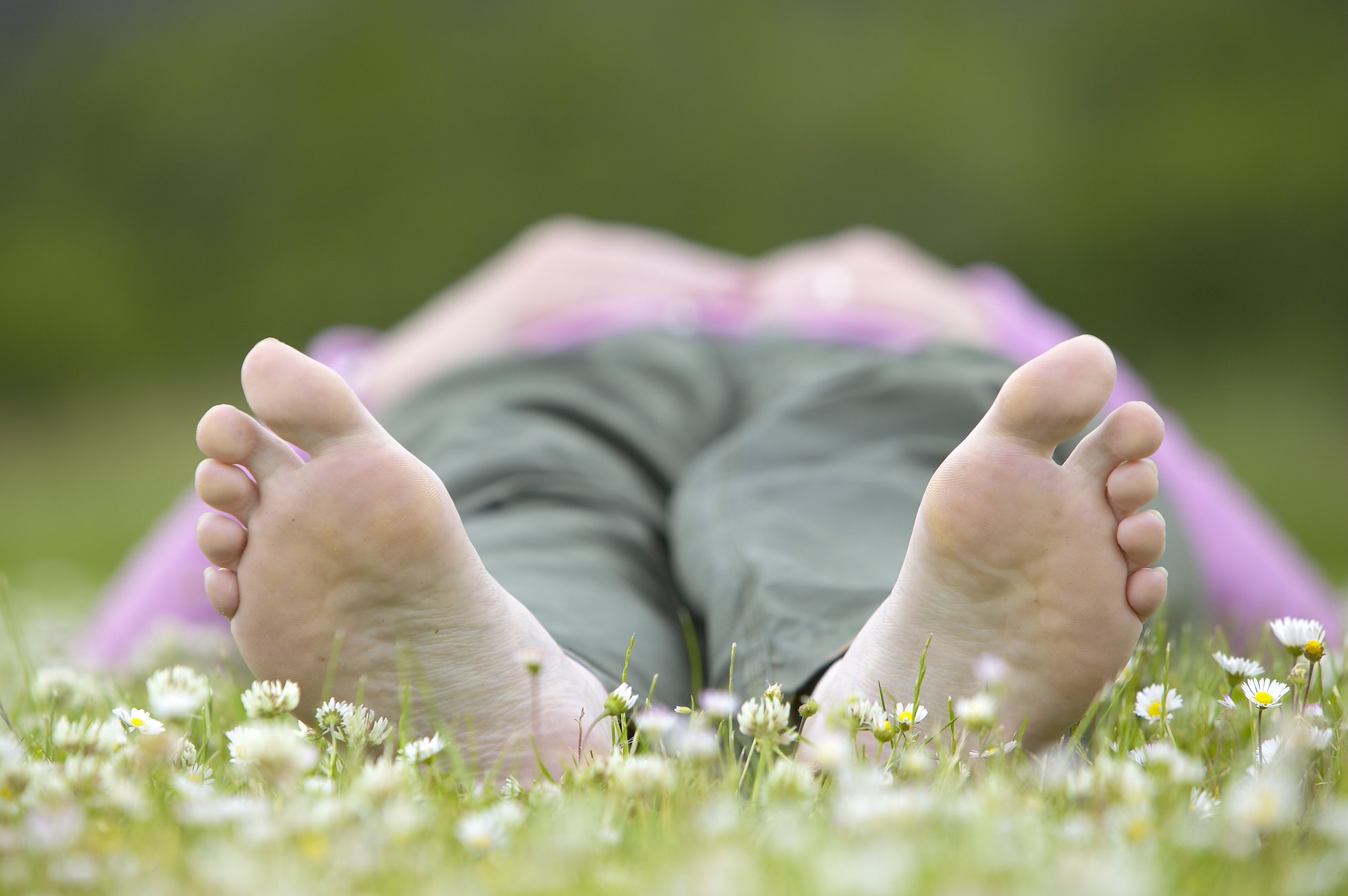 Woman lying in field of daisies reading a book on a summer day, Cairngorms National Park, Scotland